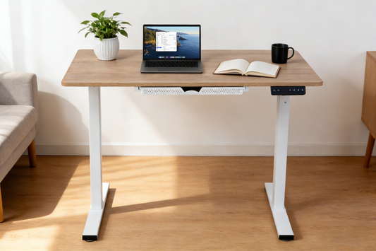 Electric Standing Desk 100x60cm with Drawer, Height Adjustable Sit Stand Desk with Memory Preset, Home Office Computer Desk, White + Maple
