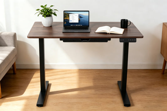 Electric Standing Desk 100x60cm with Drawer, Height Adjustable Sit Stand Desk with Memory Preset, Home Office Computer Desk, Black + Walnut