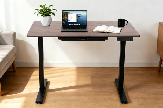 Electric Standing Desk 100x60cm with Drawer, Height Adjustable Sit Stand Desk with Memory Preset, Home Office Computer Desk, Black +Tiger stripe