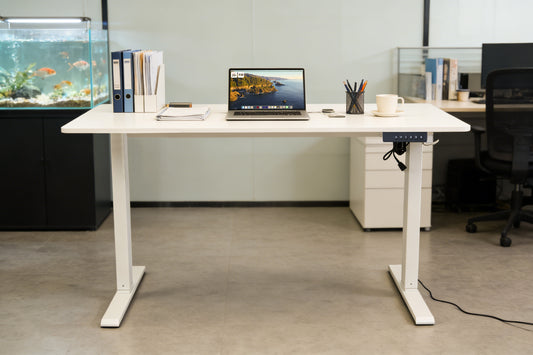 Electric Standing Desk 120x60cm, Height Adjustable Sit Stand Desk with 3 Memory Presets, 70kg Heavy Duty Ergonomic Computer Desk for Home Office,White